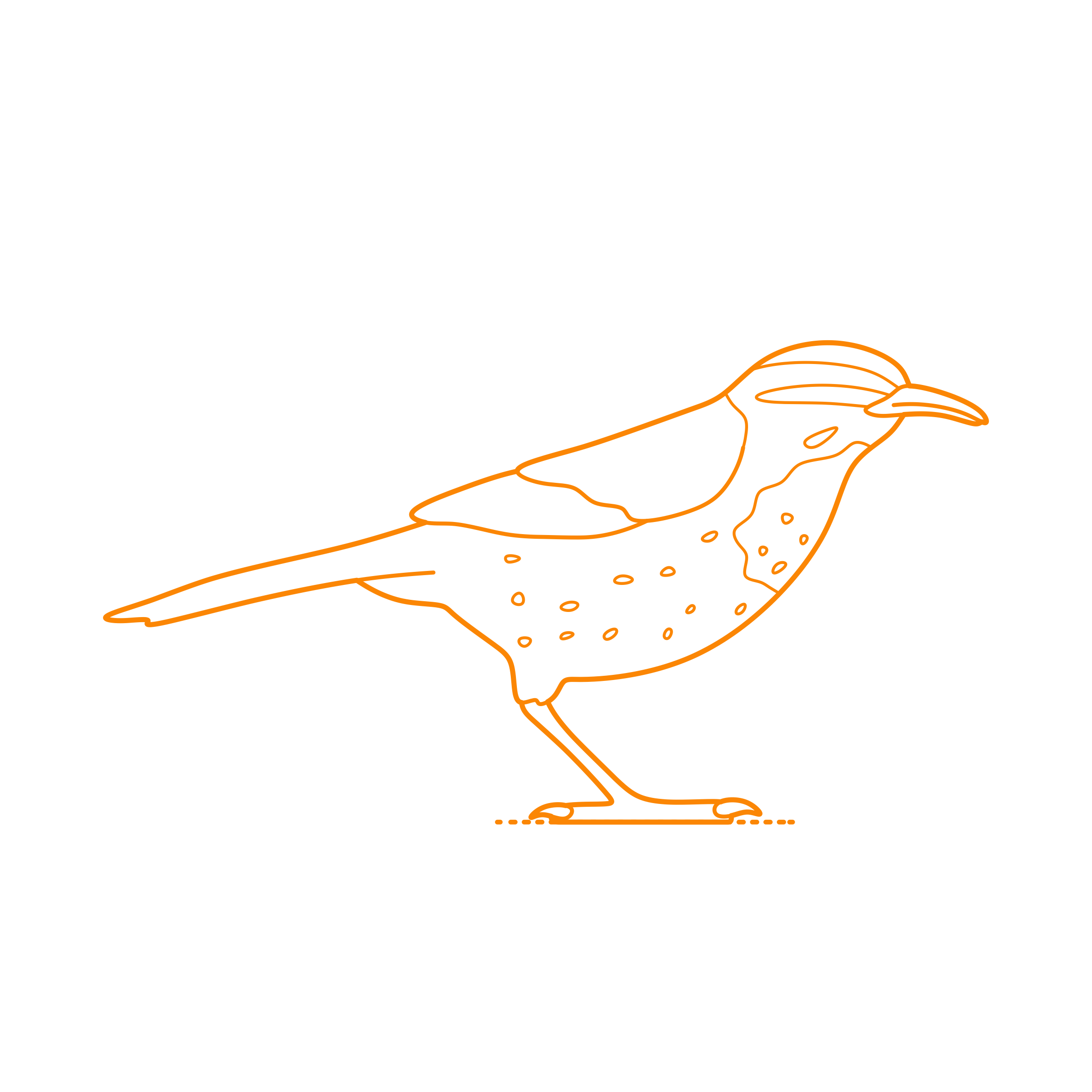 Animals Songbirds Cactus Wren Outline Svg Vector Free Vectors